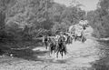 Horse teams carting goods from the ship at Nellingen to Braidwood, crossing Currajong Creek, about 1902.