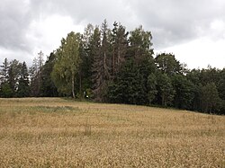 Kuntsamägi (2023)