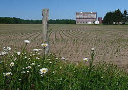 One-time dairy farm in a flat part of Maplehurst