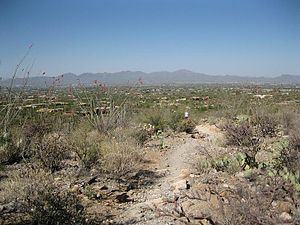 Tucson Range from Pima Canyon