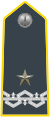 Colonel, acting Brigadier-General (Brigadier)