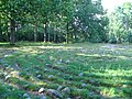 Stone and turf labyrinths (Bohuslän, Sweden)