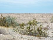 The Cave Buttes Dam is an earthen dam located near Cave Creek, Arizona. Built in 1979, by the U.S. Army Corps of Engineers, the dry dam was built to replace the nearby Cave Creek Dam.