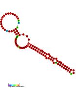 ceN23-1: Secondary structure taken from the Rfam database. Family RF01623