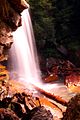 Douglas Falls (North Fork Falls), a drop of about 35' on the North Fork Blackwater River