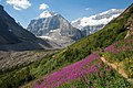 Mt. Lefroy and Mt. Victoria (right)