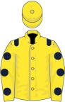 Yellow, dark blue epaulets, yellow sleeves, dark blue spots