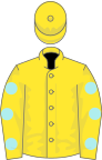Yellow, pale blue spots on sleeves