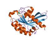 2oil: Crystal structure of human RAB25 in complex with GDP