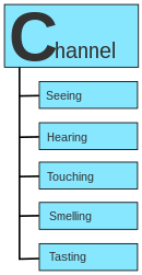 Diagram of the main features of the channel