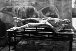 Pompeii: Human Casts found on 5 February 1863, Städel