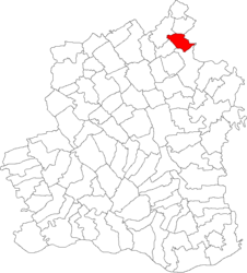 Location in Teleorman County