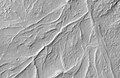 在梅杜莎槽沟层位置较低的部分上蜿蜒山脊，并且有扇形分支，由 HiRISE拍摄。光源来自西北方。
