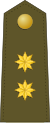 Teniente Coronel