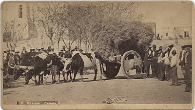 Mexican carreta in El Paso, Texas, circa 1885. Photo courtesy SMU