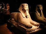 典型的埃及人头狮身人面像，现存都灵埃及博物馆