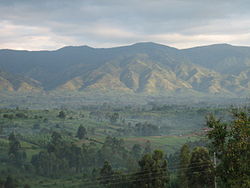 View of the Rwenzori Mountains