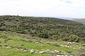 View looking west from Khirbet Jurish