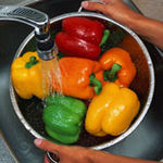 各种菜椒：绿色，红色，黄色和橙色