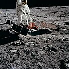 The Passive Seismic Experiment Package on the Moon.