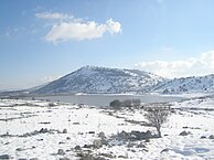 Tel el-Gharam in the Golan Heights