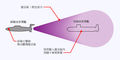 疯狂伊凡1-CC