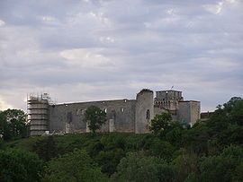 Chateau of Druyes