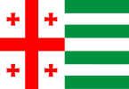 阿布哈兹自治共和国旗帜