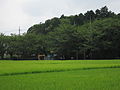 The rice for Emperor Showa was grown here.