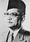 Tunku abd rahman.jpg