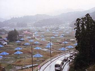 The Umbrellas (Christo and Jeanne-Claude), Japan and California, 1991. Two people were killed in separate incidents involving the work.