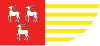 Flag of Łuków County