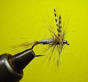 Adams, a very popular and widely used dry fly