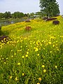 2017年6月11日 (日) 16:38版本的缩略图