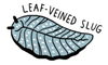 Leaf-veined Slug