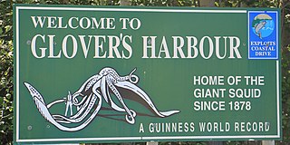 #45 (2/11/1878) Welcome sign from Glovers Harbour (formerly Thimble Tickle), Newfoundland, where the giant specimen of 1878 was found. It has long been regarded by Guinness World Records and its previous incarnations as the largest giant squid ever recorded.[315]