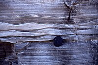 Bouma C-D layers of distal turbidites deposited in a levee crevasse splay. Venado Fm, Lake Berryessa, California.