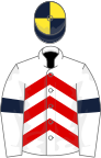 WHITE and RED CHEVRONS,white sleeves,dark blue armlets,dark blue and yellow striped cap