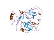 2pjh: Structural Model of the p97 N domain- npl4 UBD complex