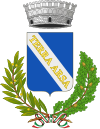 泰拉萨帕多瓦纳徽章