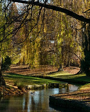 Pollard Park