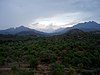 Anamalai Mountains