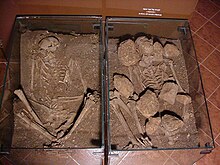 A pair of skeletons from a burial at Eynan, one of them lying among large stones that may have propped-up the corpse.