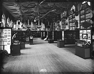 #42 (24/9/1877) Fisheries Court exhibit at the United States National Museum in Washington, D.C. (in what is now the Arts and Industries Building), as it appeared in 1886. J. H. Emerton's giant squid and giant octopus models are suspended from the ceiling surrounded by fishing nets (see also engraving of same).