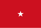 Flag of a Marine Corps brigadier general