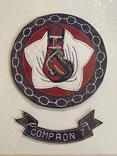 Insignia_Navy_Squadron_VC-7