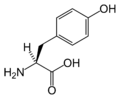 L-酪氨酸 (Tyr / Y)