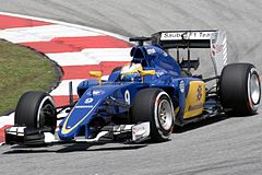 The Swedish F1 driver Marcus Ericsson during the 2015 Malaysian Grand Prix.