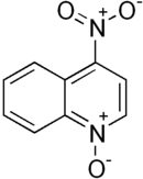 Structural formula of 4-nitroquinoline 1-oxide