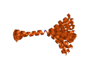 2b19: Solution Structure of mammalian tachykinin peptide, Neuropeptide K